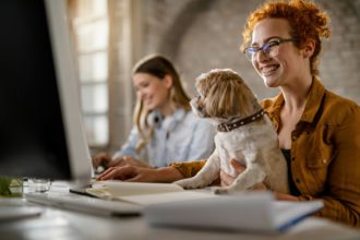 Pet friendly office!